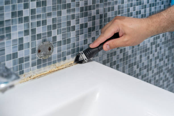 Best Toxic Mold Removal  in Clintondale, NY