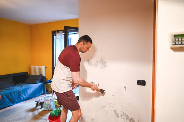 Best Mold Remediation  in Clintondale, NY